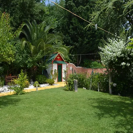 Marques Vila Nova da Barquinha