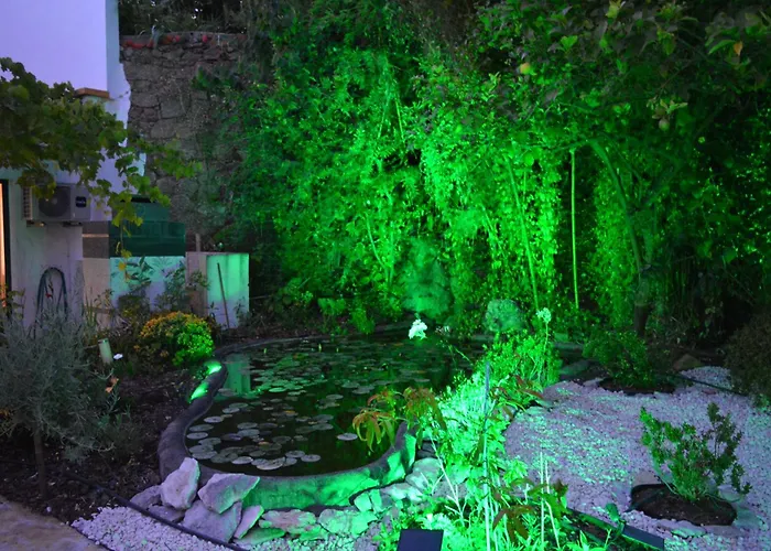 Marques * Vila Nova da Barquinha